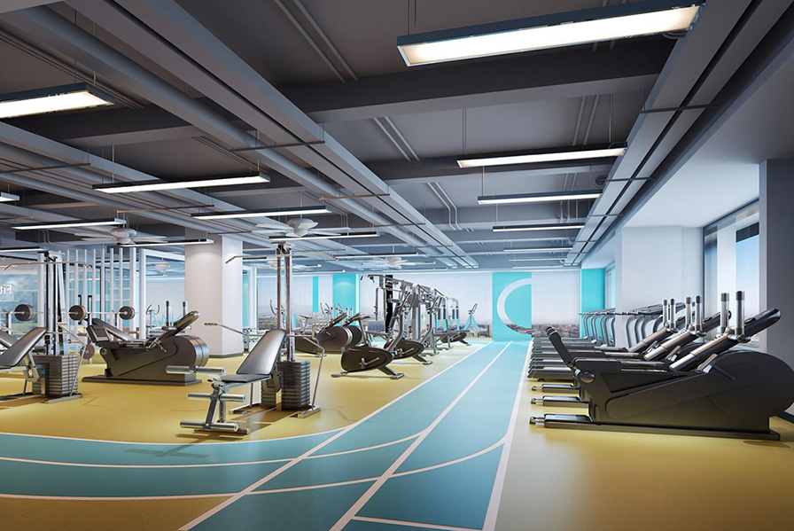 Calentador de sauna BSD para la venta